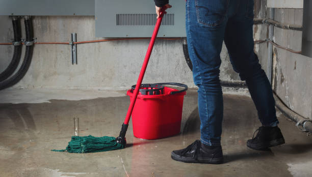 Best Water damage repair service  in Enoch, UT