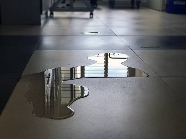 Best Local water damage restoration  in Enoch, UT