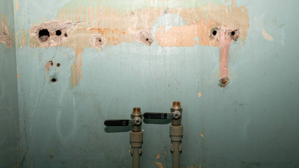 Best Ceiling water damage repair  in Enoch, UT